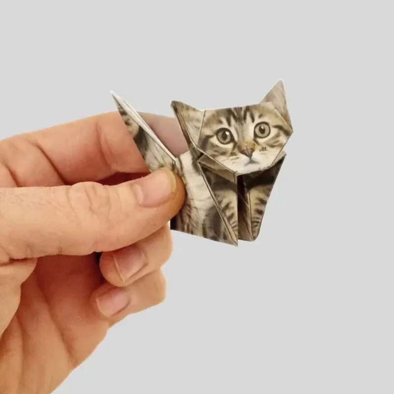 Kreatywne papierowe koty DIY,  – Art Craft Cat recenzja i cena